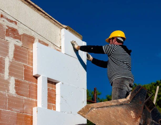 Best Cellulose Insulation  in Rockledge, PA