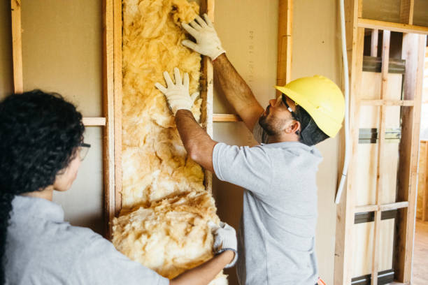 Insulation Inspection Services in Rockledge, PA