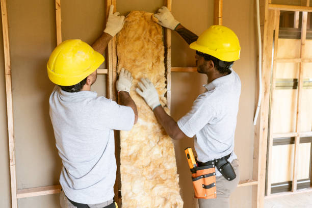 Insulation Repair Services in Rockledge, PA