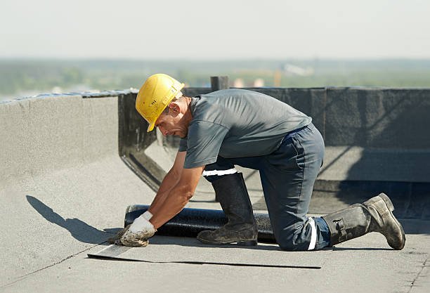 Best Crawl Space Insulation  in Rockledge, PA